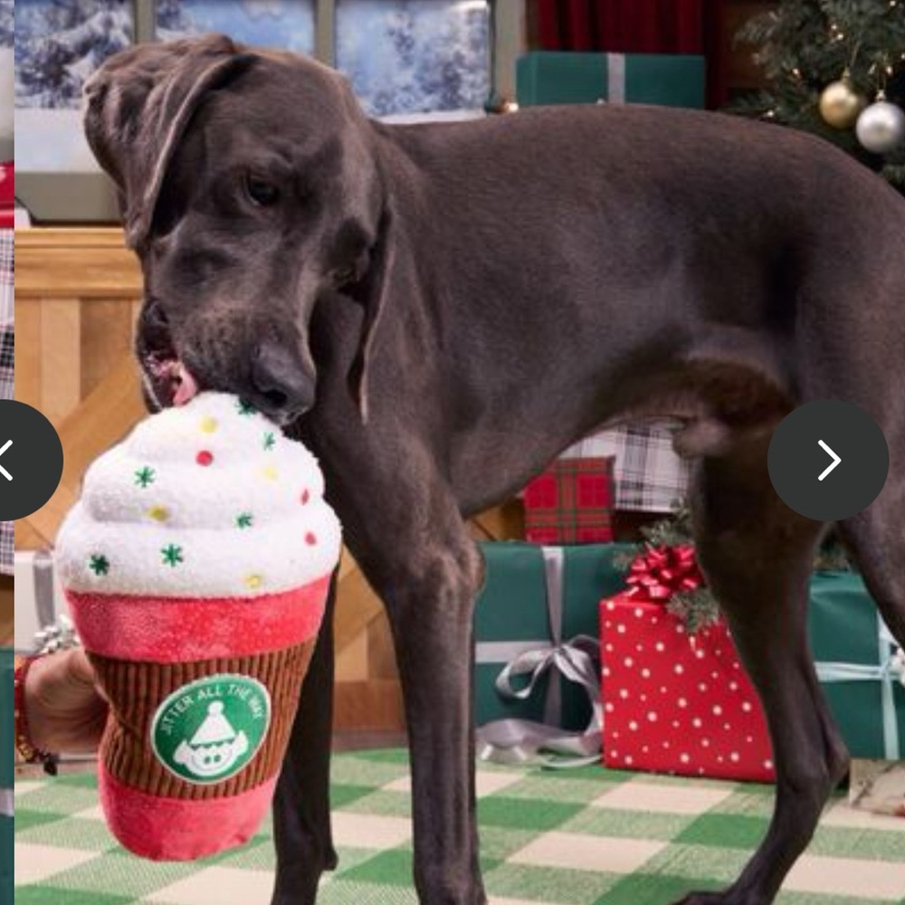 Bark Box XL Puppermint mocha latte dog toy NEW